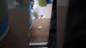 как срет мой брат
