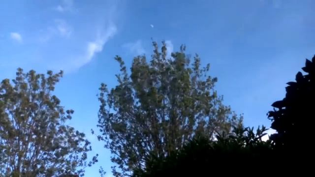 Archos 45 Neon Time Lapse Android смотреть онлайн