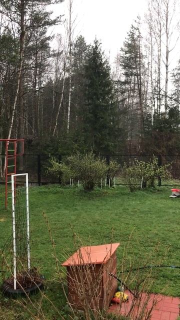 Пение птиц смотреть онлайн