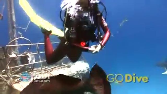 Never to Old to go scuba diving with Nautilus Watersports while in Port Vila, Vanuatu смотреть онлайн