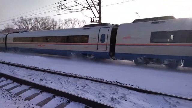Сапсан мчит