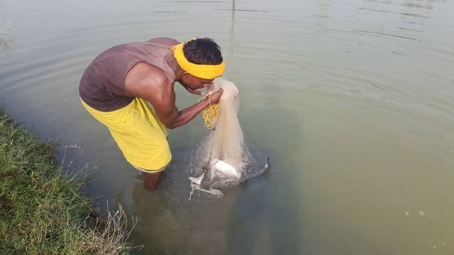 КРУПНОЙ РЫБЫ - лучшая рыбалка сетями смотреть онлайн