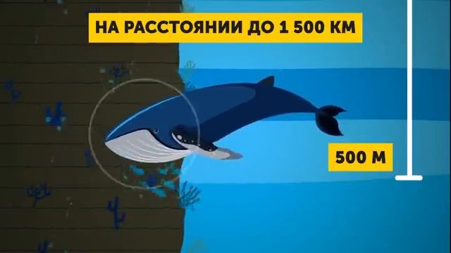 Насколько на Самом Деле Глубокий Океан смотреть онлайн