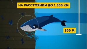 Насколько на Самом Деле Глубокий Океан