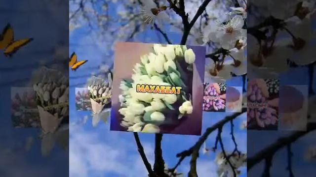 ПОЗДРАВЛЯЮ ВАС ДЕВОЧКИ смотреть онлайн