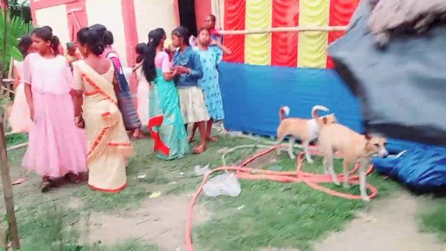 Assam Disom Santal Bapla Enej Santali Dance Video And Culture New Santali Video 2023