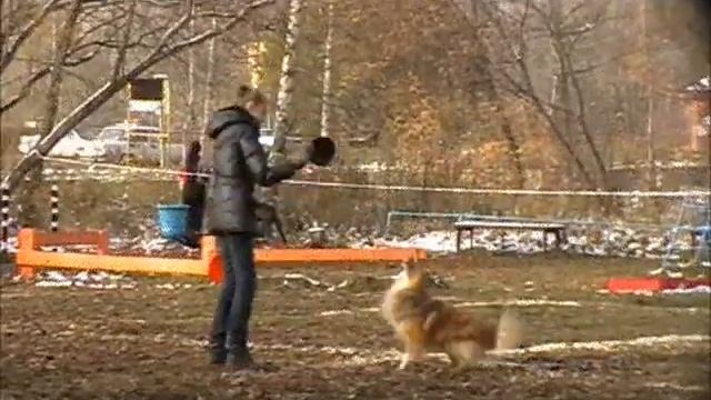14 октября 2012 смотреть онлайн