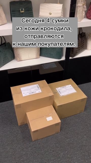 Сумки из натуральной кожи крокодила, шоурум в СПб смотреть онлайн