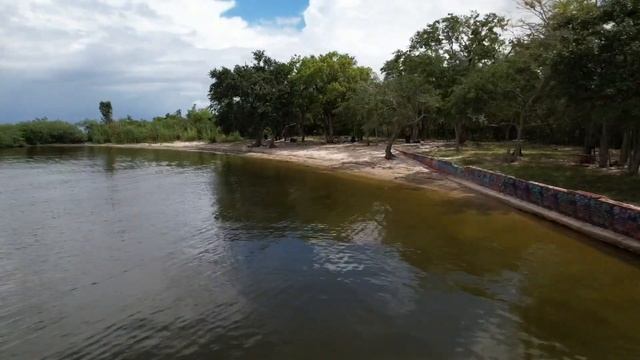 Alligator sighting on New Orleans lakefront shocks locals смотреть онлайн