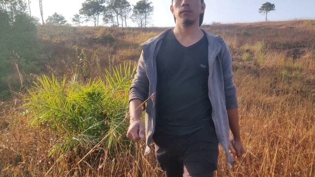 Pnar Vlog | Samen Ha Kyndit U Lum | Solo Camping @ Mukhla смотреть онлайн