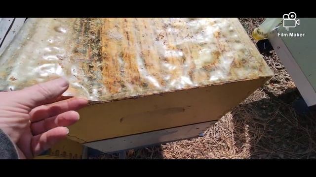 зимівля рут на сітці смотреть онлайн