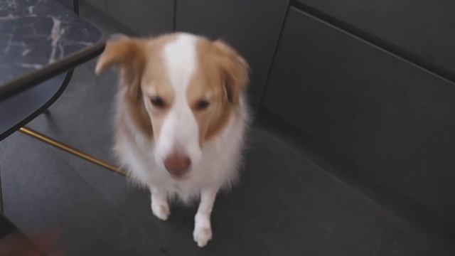 마음을 전하는 일 - 대파샐러드, 잠봉뵈르, 크림파스타, 대게파티