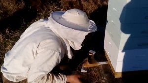 Варроджэт и ТЭДА