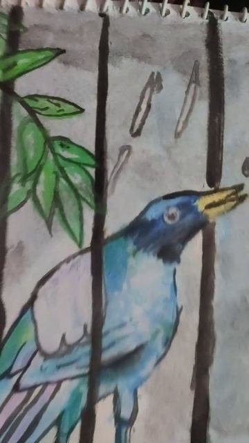 bird painting смотреть онлайн