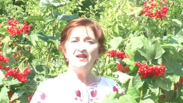 Перелаз | Роде наш красний |Родинний марафон