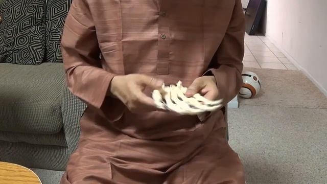 Appendicular Skeleton Bones