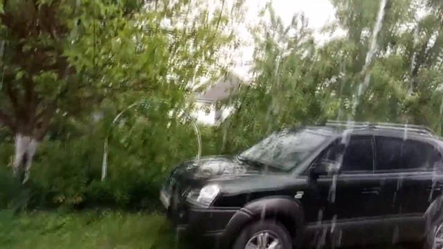 VLOG:ЗАГАДОЧНЫЙ СУНДУК\\ШИШКИ смотреть онлайн