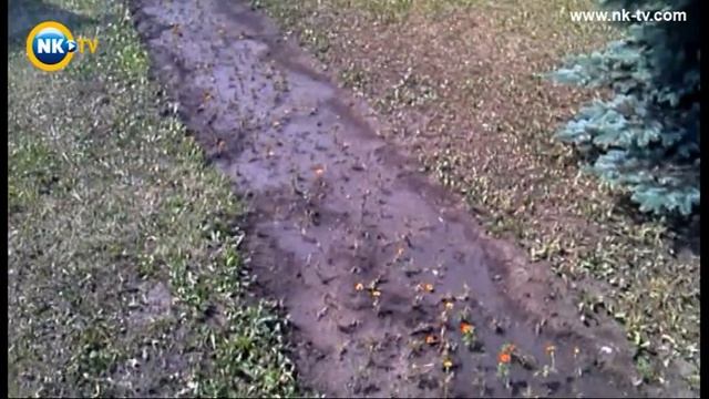 Вот такие цветочки смотреть онлайн