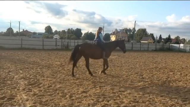 Зиг седло смотреть онлайн