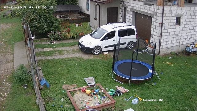 Напад кота на курку смотреть онлайн
