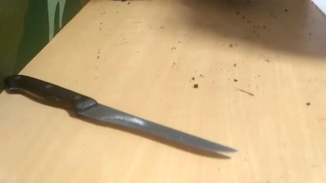 Мы выращиваем лук 1 смотреть онлайн