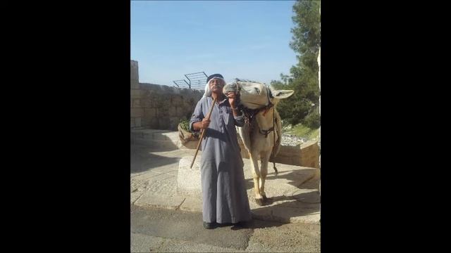 Ira's Holy Land Adventures смотреть онлайн