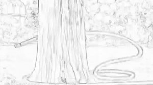 ну, погоди! выпуск 20