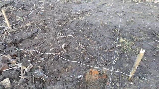 Сарай на сваях.