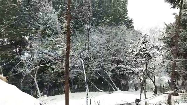 Snow in tawang смотреть онлайн