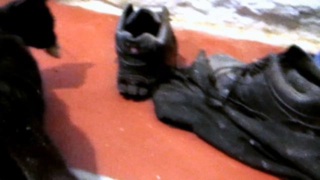 Фильм как кот дружил с мишкой смотреть онлайн