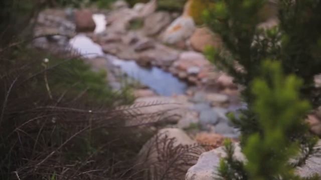 Компания "ВДС строй" - ЛАНДШАФТНЫЙ ДИЗАЙН смотреть онлайн