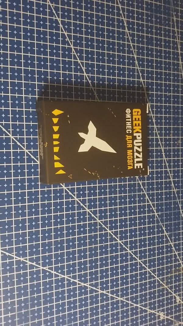 Собрать IQ puzzle Ракета из 9 деталей (Arrange the ROCKET out of  9 pieces).