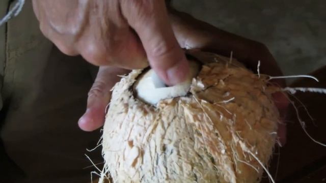how to open a coconut with a machete [HD] смотреть онлайн
