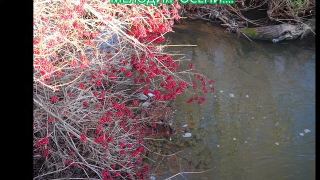 О С Е Н Н Е Е...