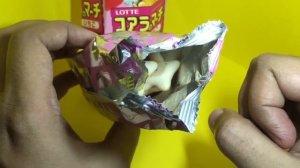 Lotte Koala Cookies