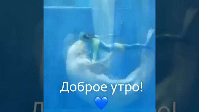 этот удивительный мир! дельфины. смотреть онлайн