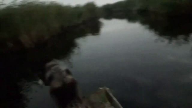 Охота в сибири 2020 осень на уток /8 часть смотреть онлайн