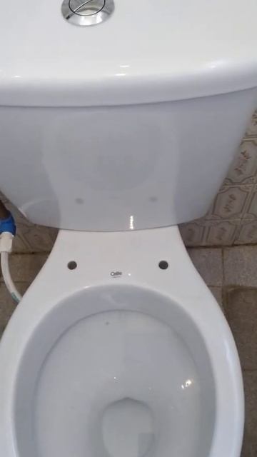 invertendo posição de vaso sanitário-#shorts смотреть онлайн