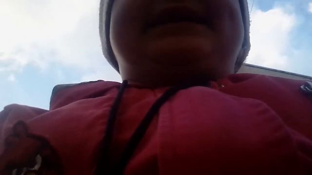 Пикник с бешаной подругой