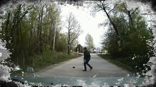 Ёжик на дороге смотреть онлайн