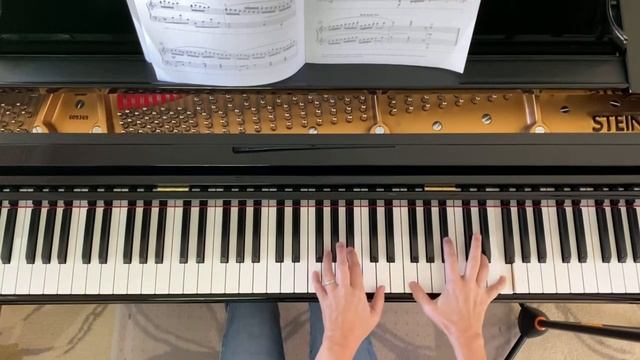 Flight Of The Monarch By Melody Bober