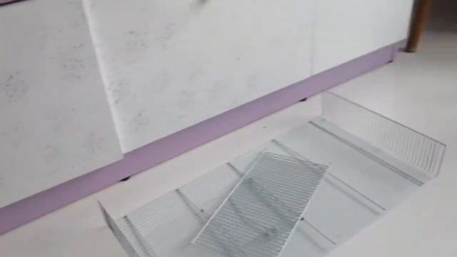 Уборка у крысок 🐀// новая причёска Лины 🐕 // + уборка у кота 🐱
