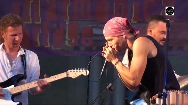 Jack Cannon Blues Band at Harmonica Bridge 2013 смотреть онлайн