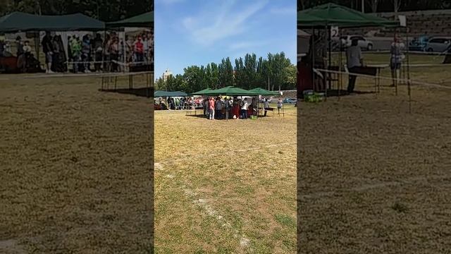 Выставка 24.05.2015 смотреть онлайн