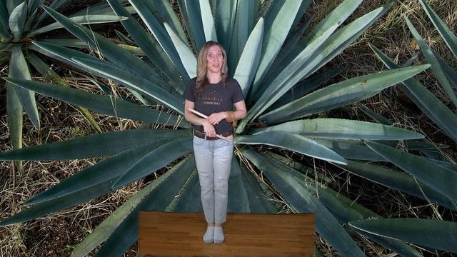 EASY Mexican Folk Dance for Kids | Los Machetes смотреть онлайн