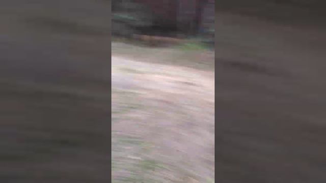 обдристали весь лес под одеялом очень сильно ваняет кто надристал с подливо неужели это читать дале смотреть онлайн