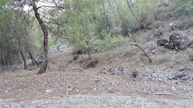 Mondraker Podium Carbon Pro SL Test Drive 6 смотреть онлайн