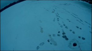 Ловля щуки на ратлин , VIB . Ратлины на зимней рыбалке с эхолотом 2019