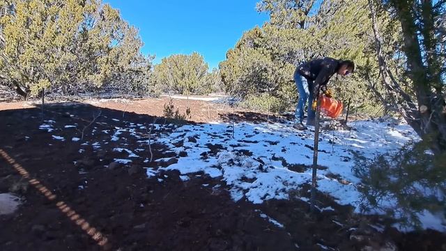 This BUILD Will SAVE Us $$$$ | SHED Base смотреть онлайн