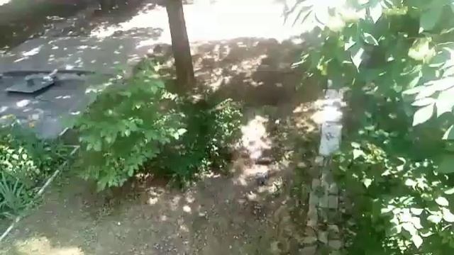 ТРЕТИЙ МУЖ, ОСТРОВ, И ВЕРТОЛЁТ! Деревенский дневник очень многодетной мамы! смотреть онлайн